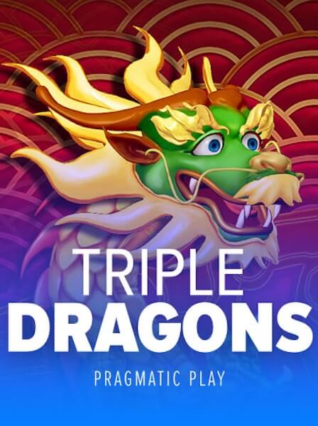 Tổ chức giải đấu Poker Việt Nam đẳng cấp tại các thành phố lớn